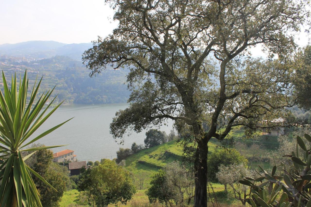 Quinta Das Quintas & Spa Baião Εξωτερικό φωτογραφία