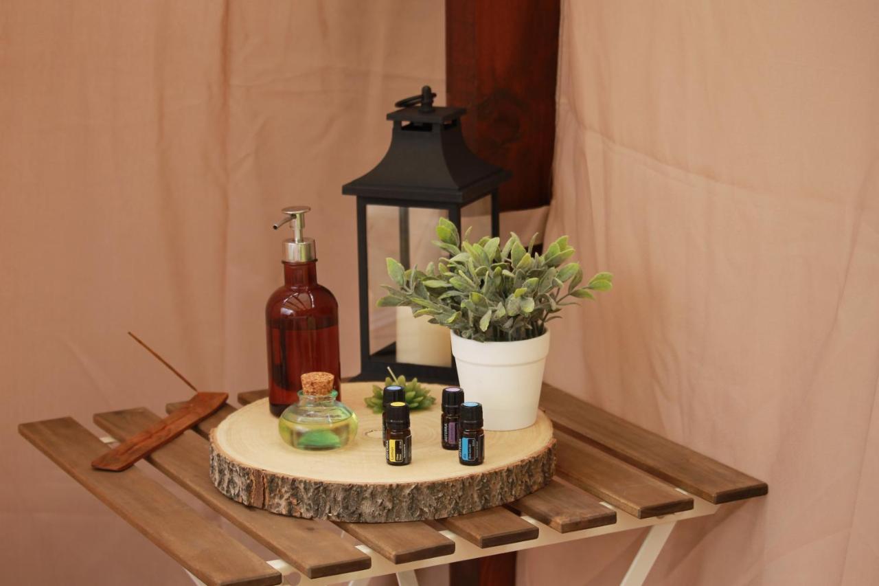 Quinta Das Quintas & Spa Baião Εξωτερικό φωτογραφία