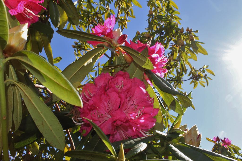 Quinta Das Quintas & Spa Baião Εξωτερικό φωτογραφία