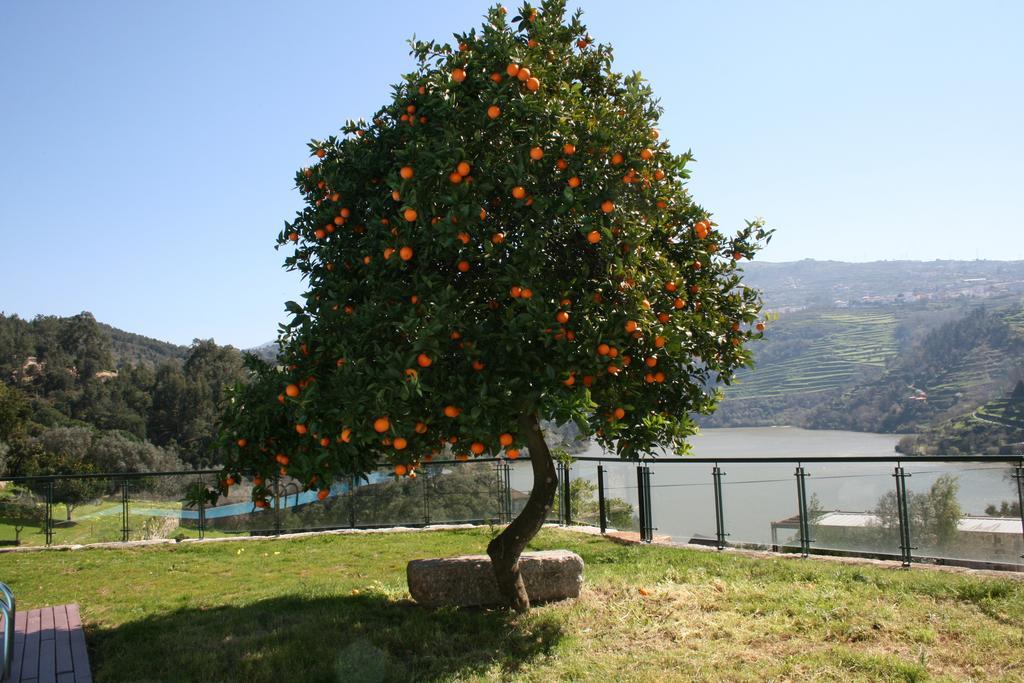 Quinta Das Quintas & Spa Baião Εξωτερικό φωτογραφία