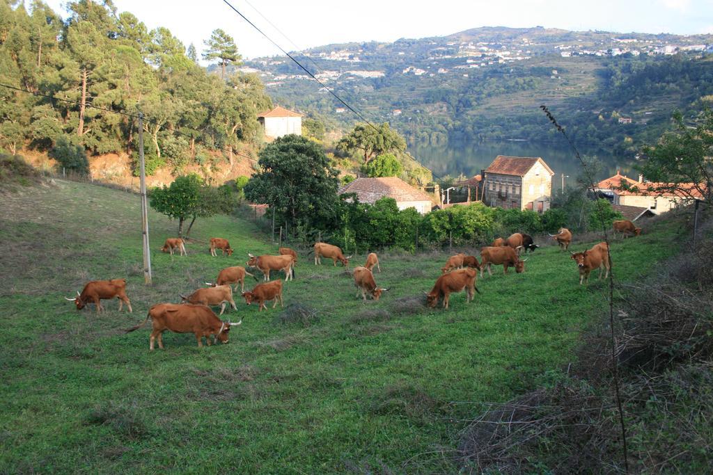Quinta Das Quintas & Spa Baião Εξωτερικό φωτογραφία